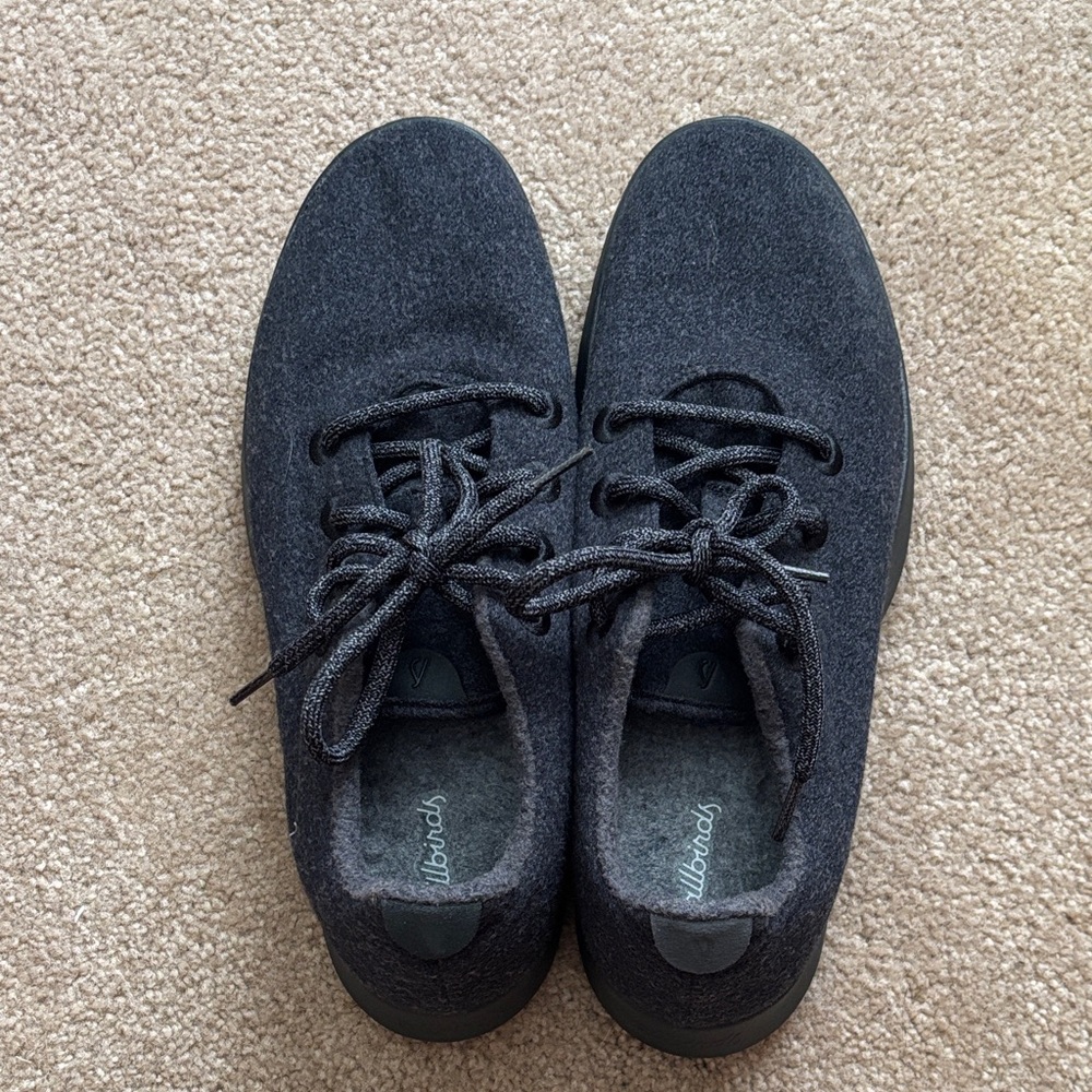 Allbirds Mens wool shoes